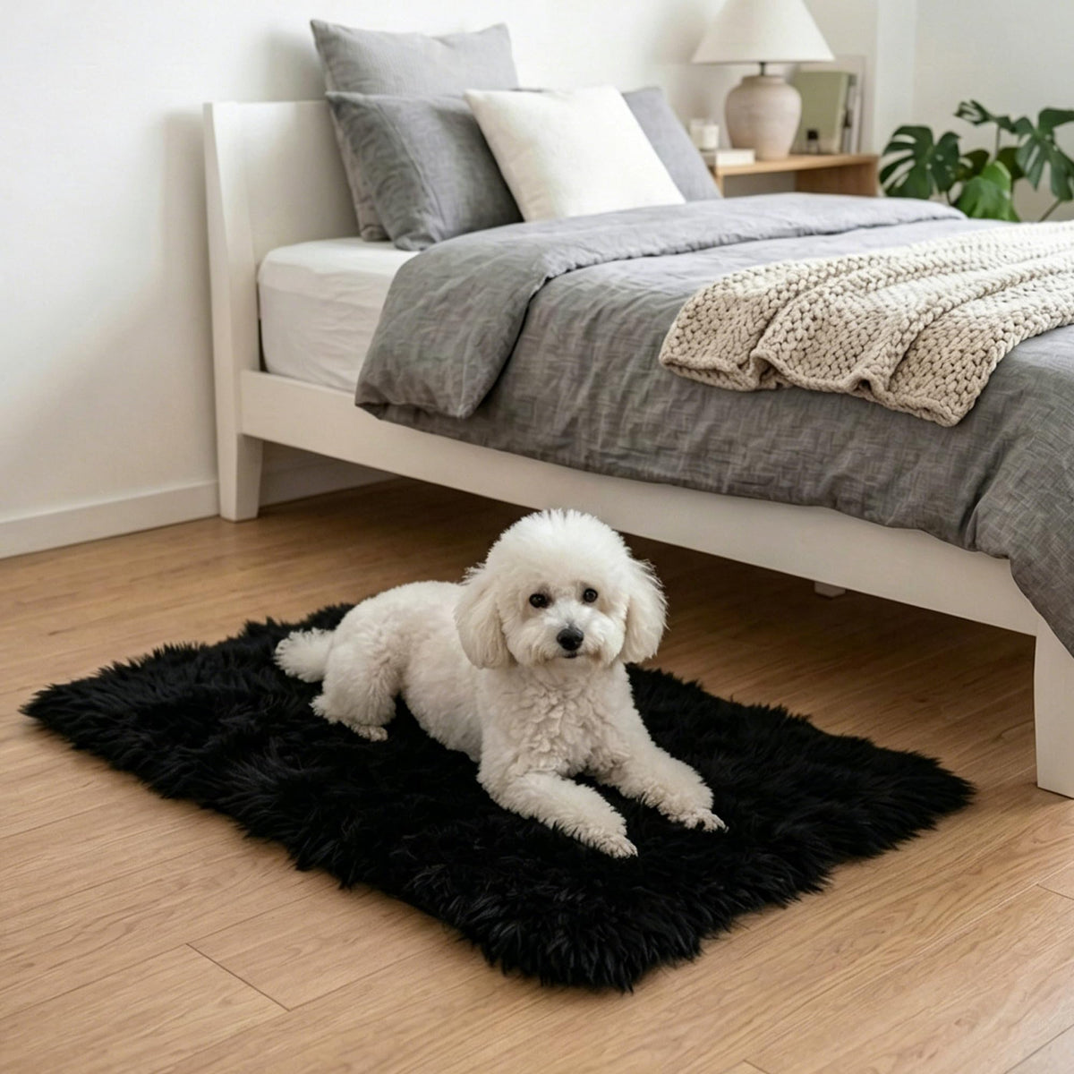 8x10 Area Rugs for Living Room, Large Fluffy Soft Shag Rug, Non-Slip Thick Fuzzy Plush Rug, Non-Shedding High Pile Furry Floor Indoor Carpet for Kids Room Nursery Dorm Home Decor(Beige)
