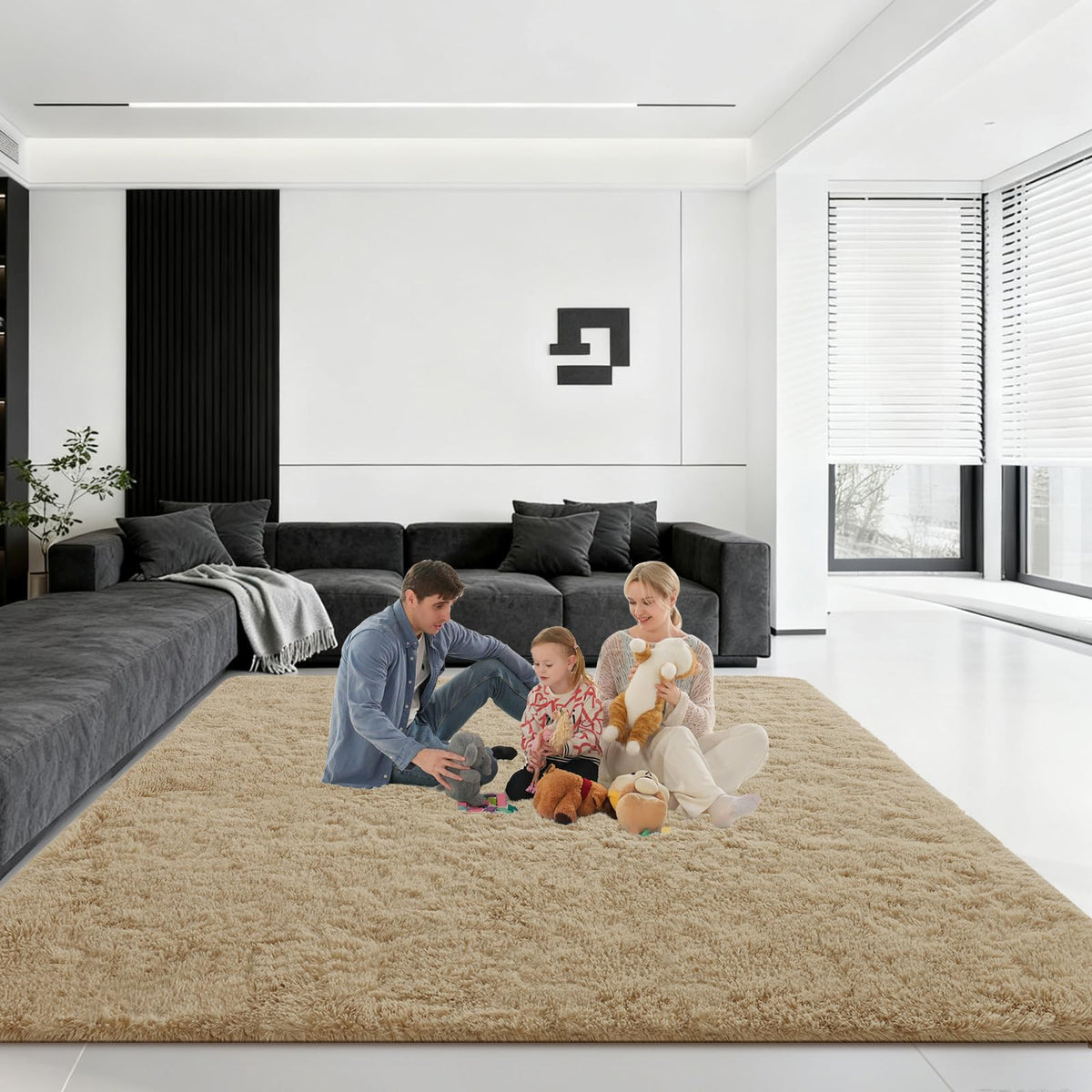 5x7 Large Fluffy Area Rugs for Living Room Bedroom, Light Tan