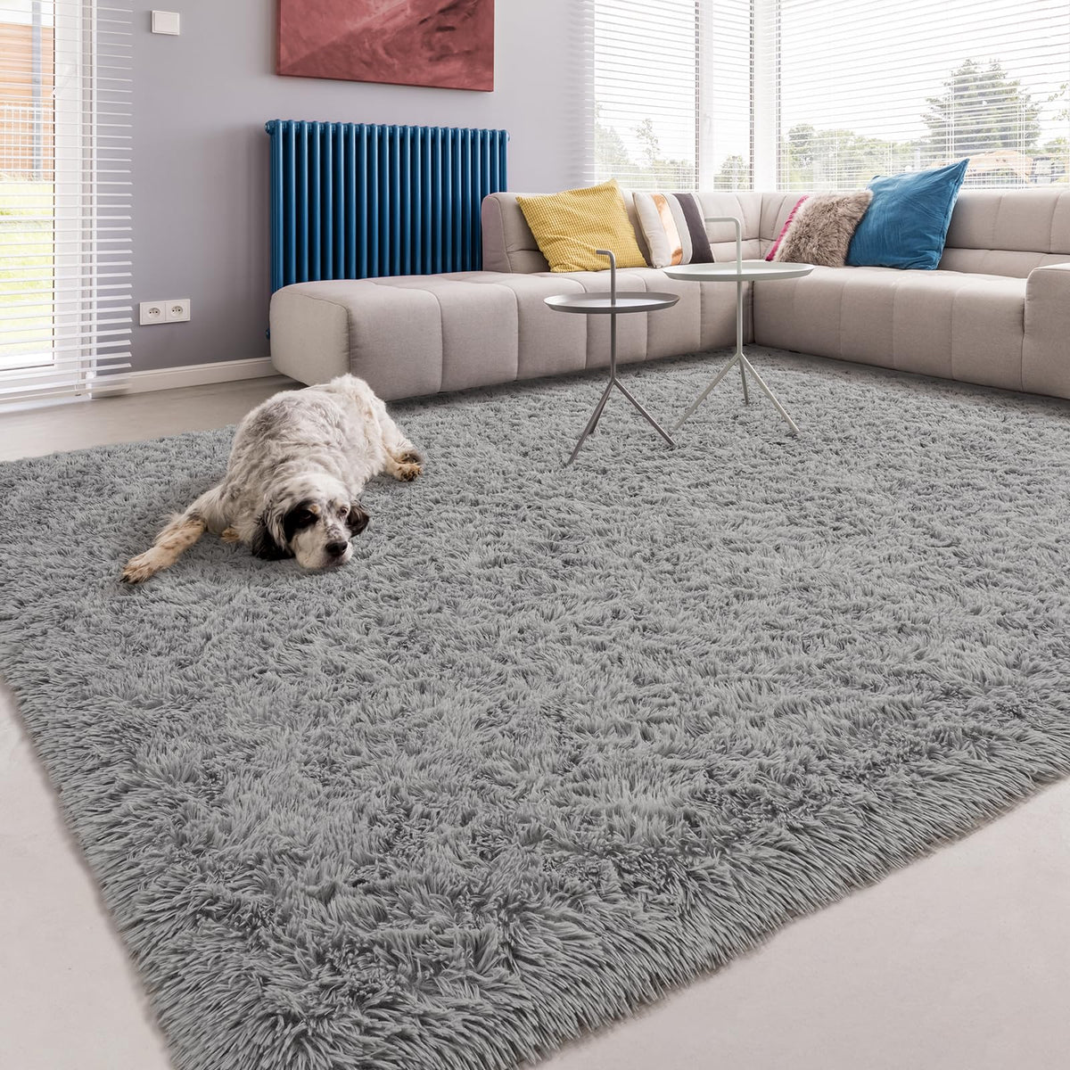 Softlife Dark Purple Area Rug for Bedroom, Fluffy Shag Plush 3x5 Rugs for Living Room Girls, Shaggy Throw Soft Fuzzy Small Kids Carpet for Dorm Bedside Ultra Cozy Non-Slip Indoor Decor
