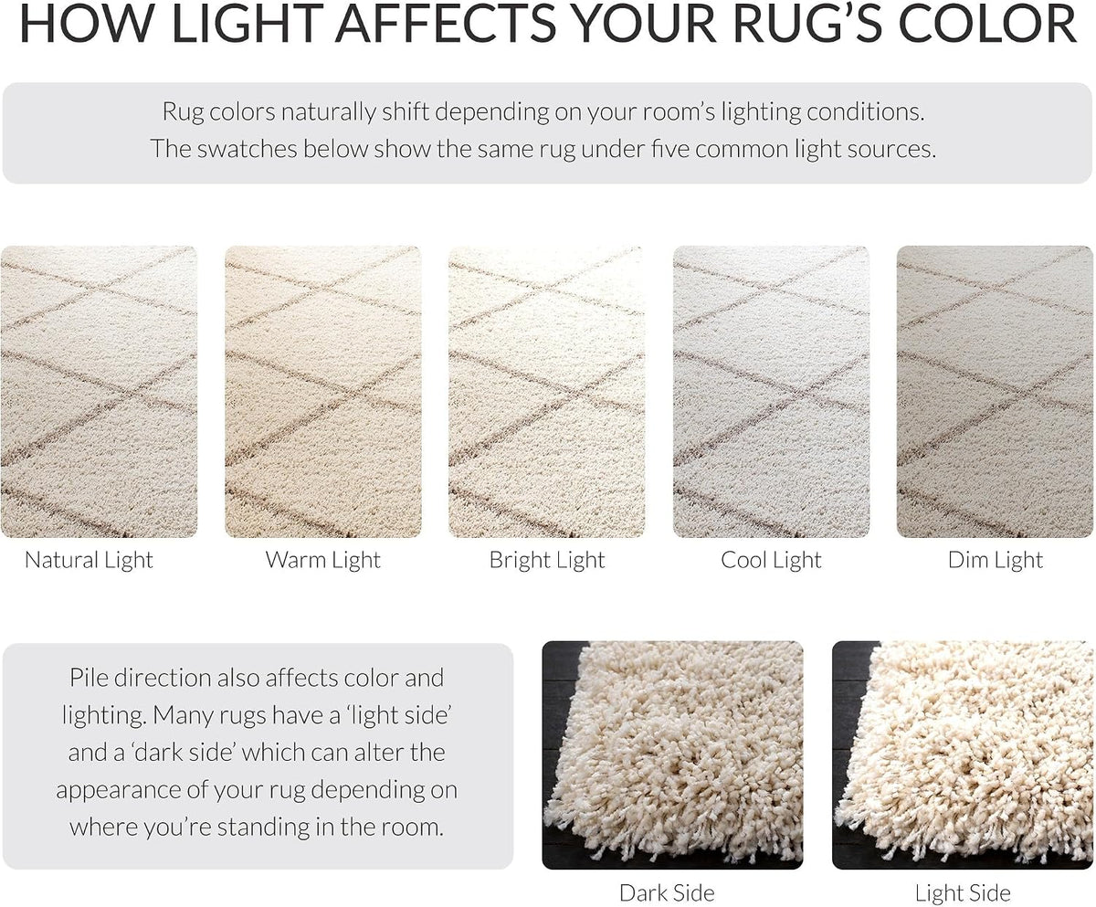 SAFAVIEH Hudson Shag Rug 8'x10', Soft Plush Moroccan Ivory & Beige SGH281D
