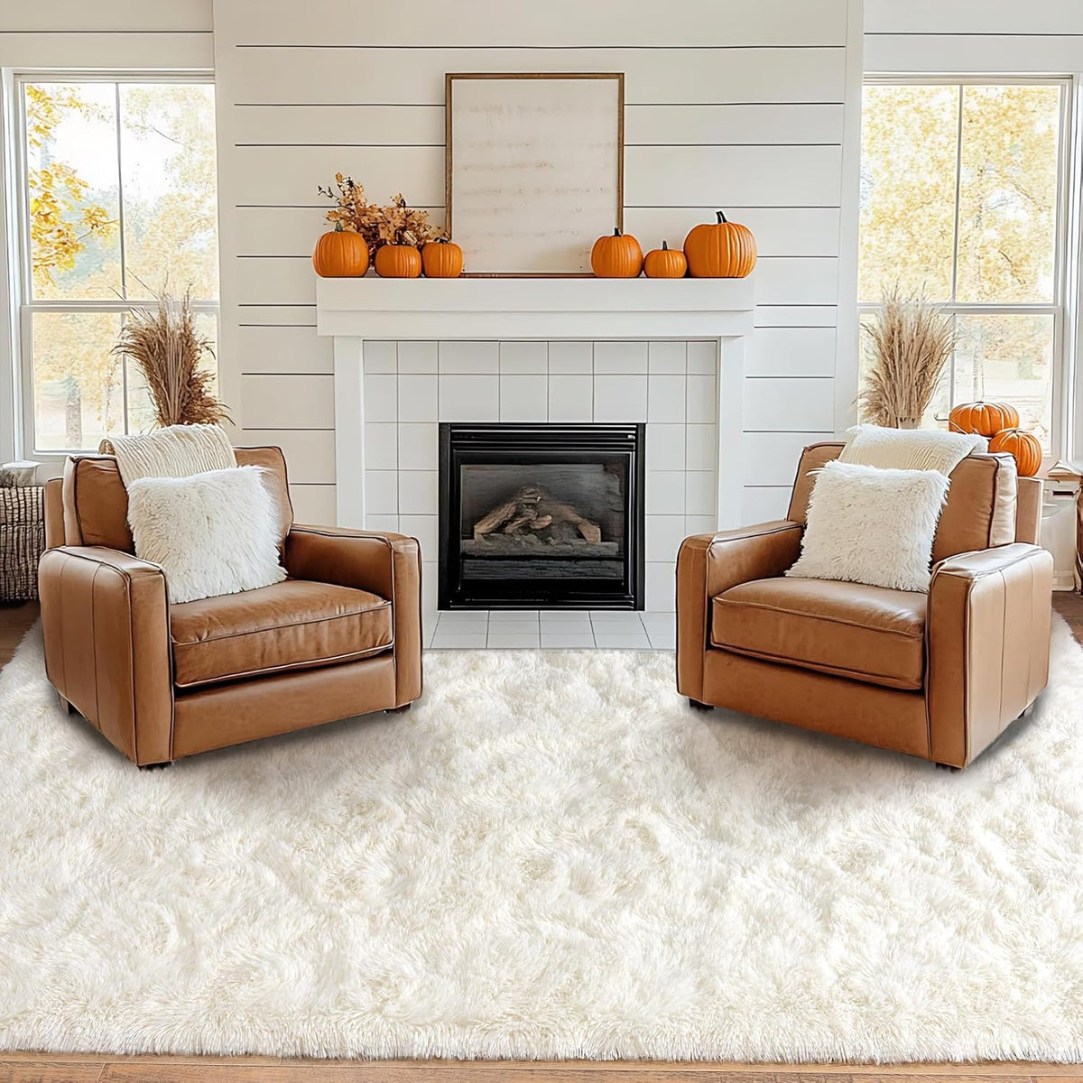 Pionblank 8x10 Rug for Living Room, Fluffy Large Area Rug, Cream White