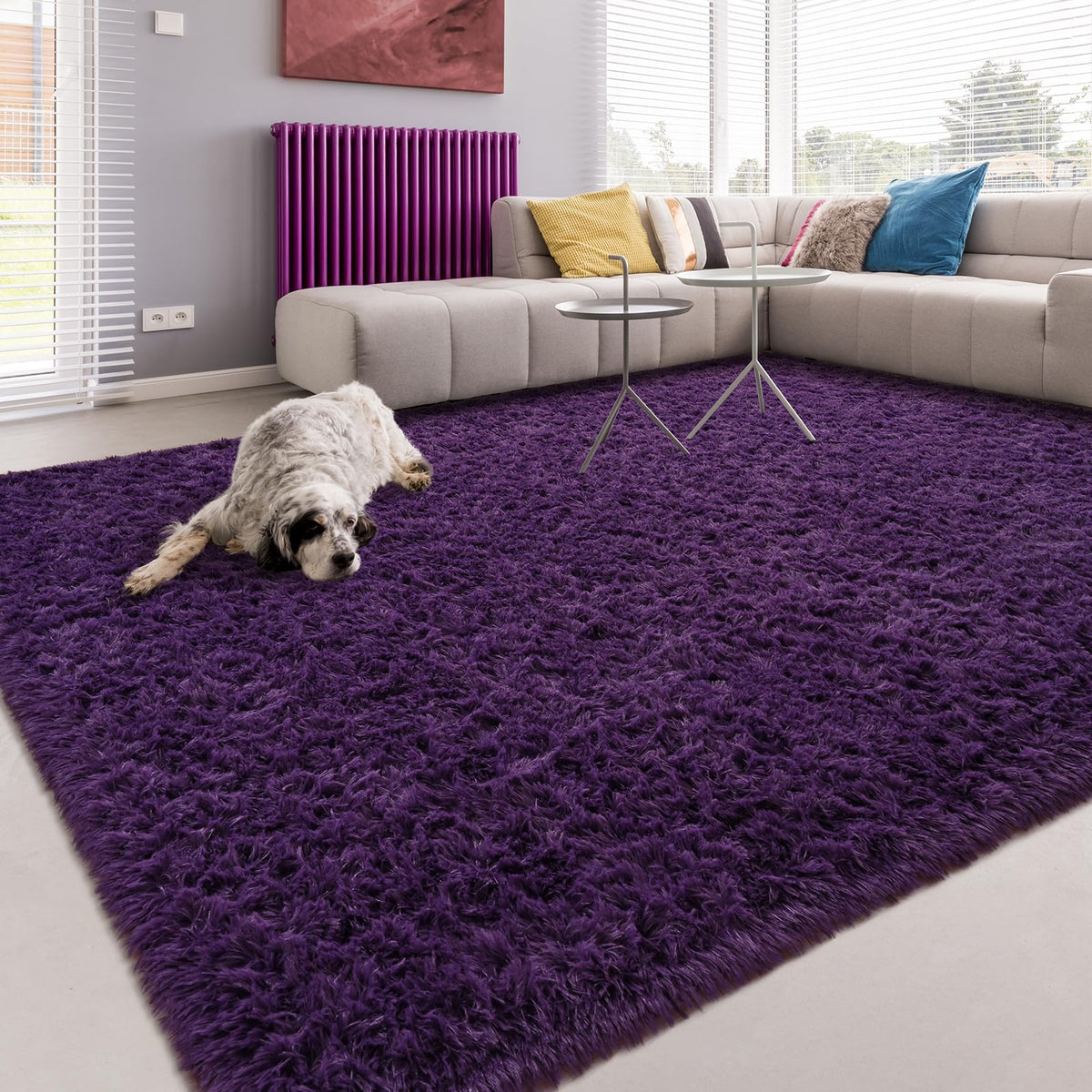 Softlife Dark Purple Area Rug for Bedroom, Fluffy Shag Plush 3x5 Rugs for Living Room Girls, Shaggy Throw Soft Fuzzy Small Kids Carpet for Dorm Bedside Ultra Cozy Non-Slip Indoor Decor