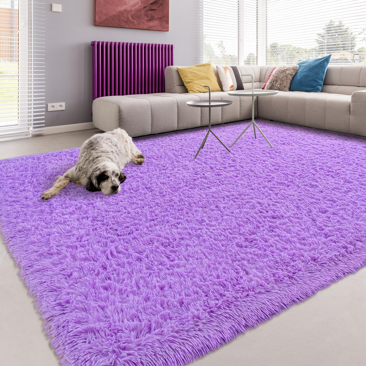 Softlife Dark Purple Area Rug for Bedroom, Fluffy Shag Plush 3x5 Rugs for Living Room Girls, Shaggy Throw Soft Fuzzy Small Kids Carpet for Dorm Bedside Ultra Cozy Non-Slip Indoor Decor