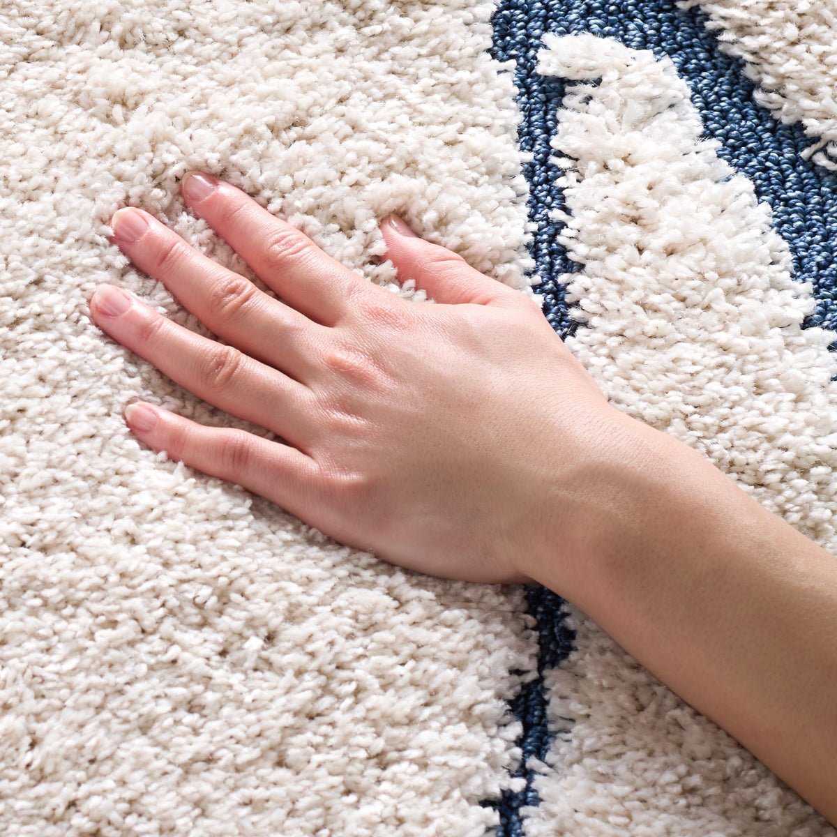 SAFAVIEH Florida Shag Rug 6'x9', Soft Plush Modern Cream & Beige SG471-1113