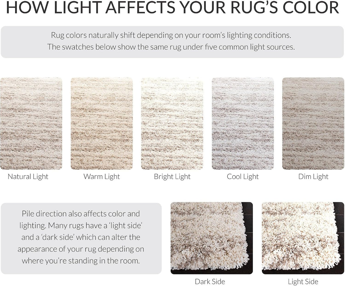 SAFAVIEH Hudson Shag Rug 9x12, Large Ivory & Beige SGH206B