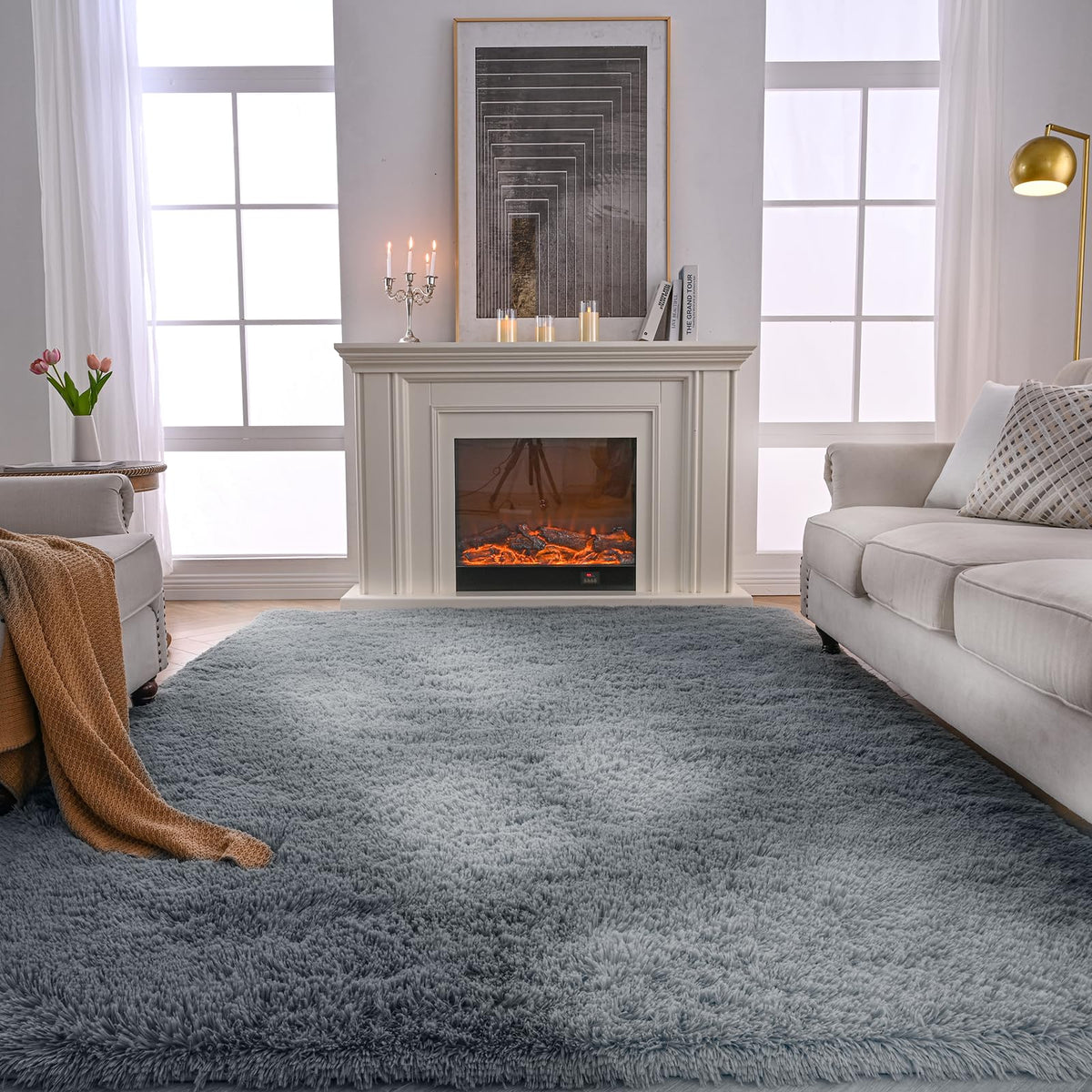 Grey Shag Rug for Living Room 6x9 - Soft Fluffy Plush Area Carpet