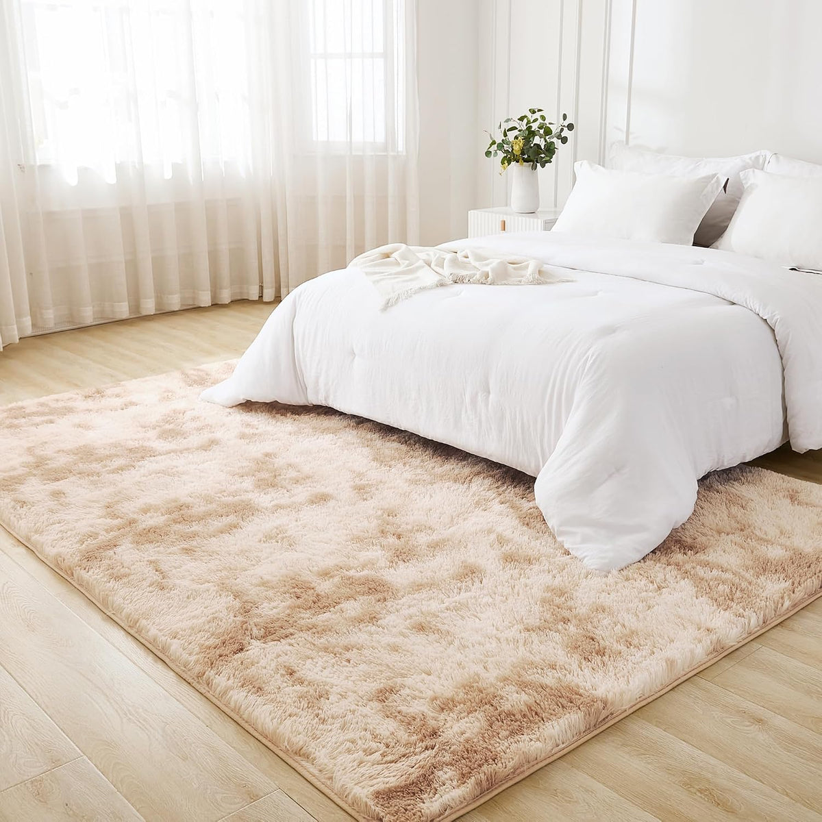 Litanika 5x8 Shag Area Rug for Bedroom, Tie-Dyed Beige Plush Rug