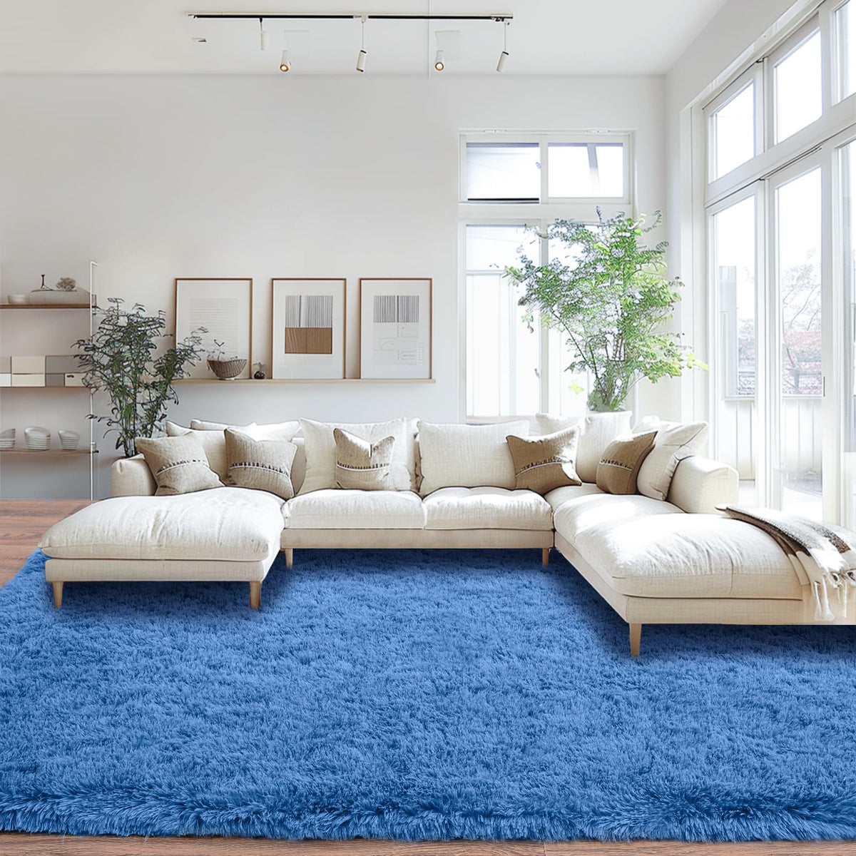 Mugorn 8x10 Area Rugs for Living Room, Large Fluffy Cream White Rugs