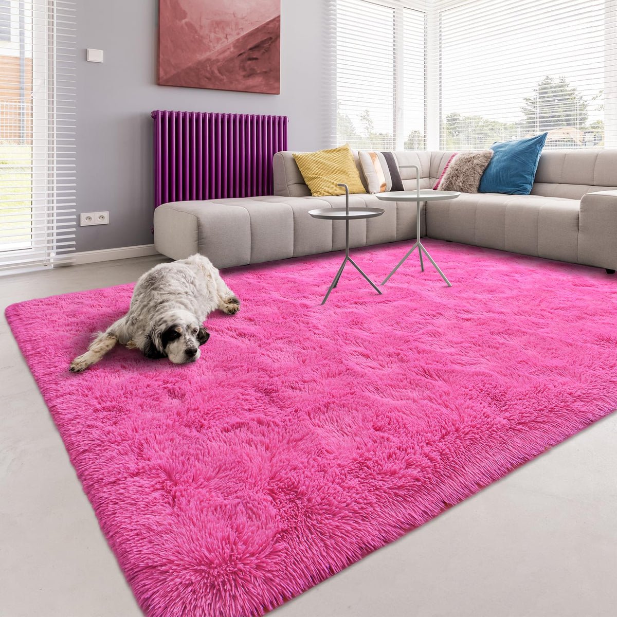 Softlife Dark Purple Area Rug for Bedroom, Fluffy Shag Plush 3x5 Rugs for Living Room Girls, Shaggy Throw Soft Fuzzy Small Kids Carpet for Dorm Bedside Ultra Cozy Non-Slip Indoor Decor