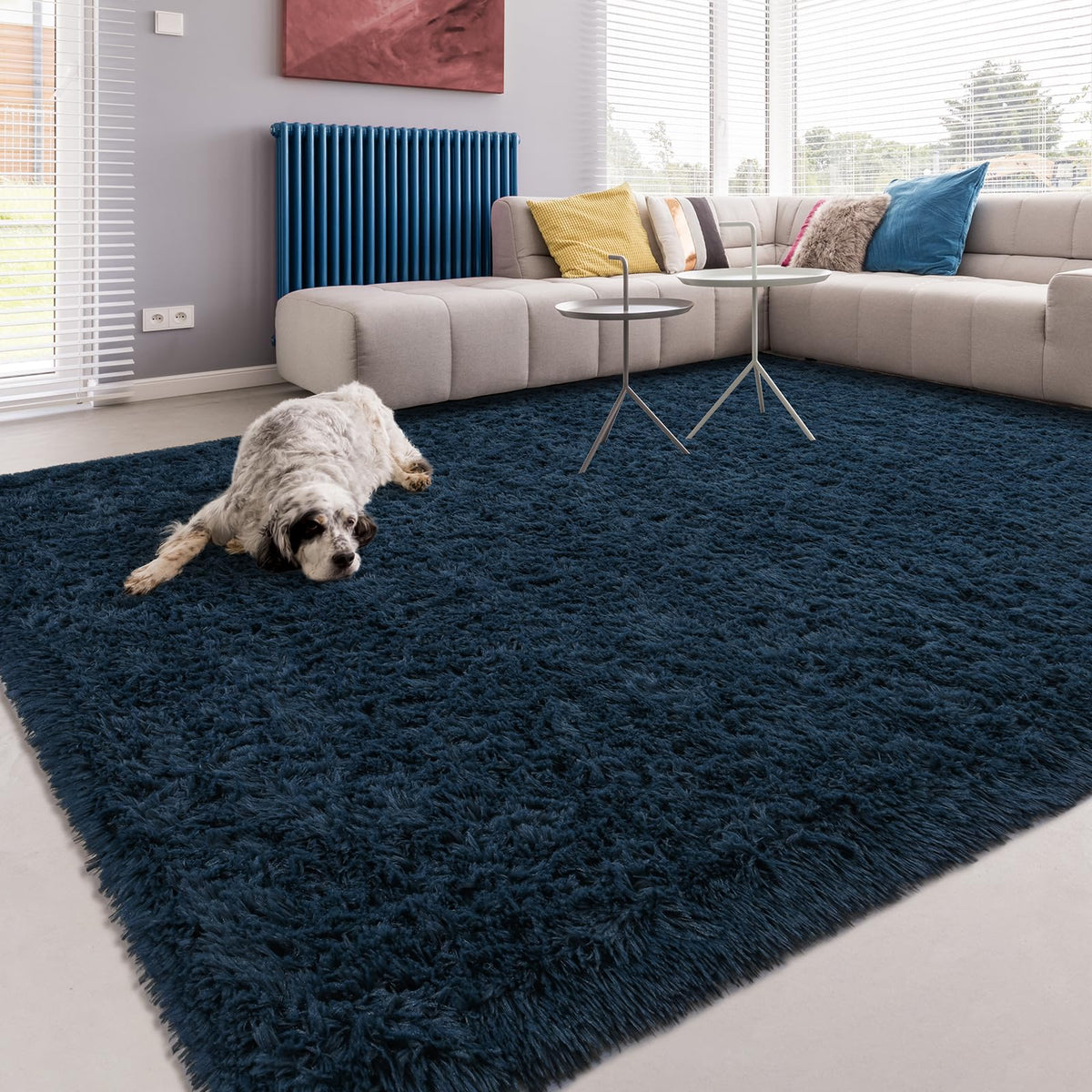 Softlife Dark Purple Area Rug for Bedroom, Fluffy Shag Plush 3x5 Rugs for Living Room Girls, Shaggy Throw Soft Fuzzy Small Kids Carpet for Dorm Bedside Ultra Cozy Non-Slip Indoor Decor