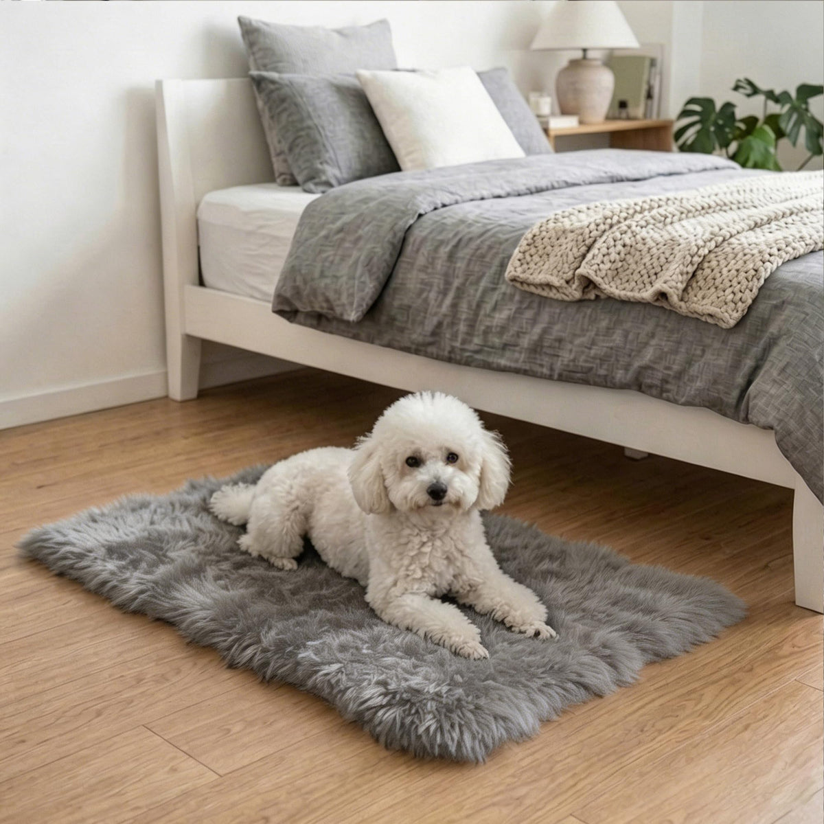 8x10 Area Rugs for Living Room, Large Fluffy Soft Shag Rug, Non-Slip Thick Fuzzy Plush Rug, Non-Shedding High Pile Furry Floor Indoor Carpet for Kids Room Nursery Dorm Home Decor(Beige)