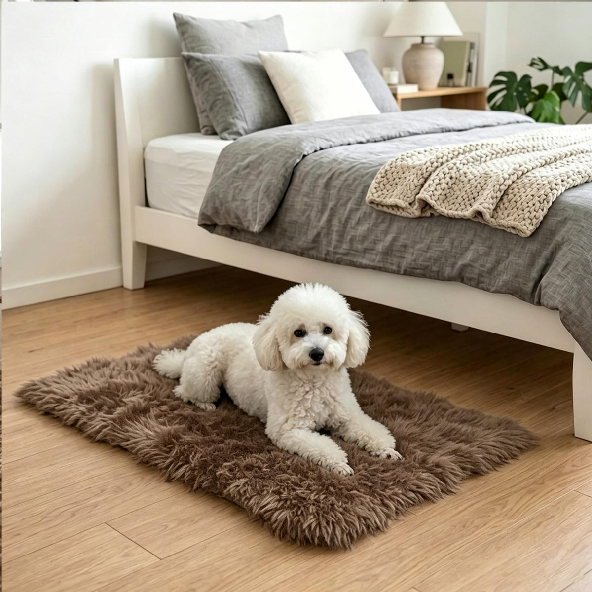 8x10 Area Rugs for Living Room, Large Fluffy Soft Shag Rug, Non-Slip Thick Fuzzy Plush Rug, Non-Shedding High Pile Furry Floor Indoor Carpet for Kids Room Nursery Dorm Home Decor(Beige)