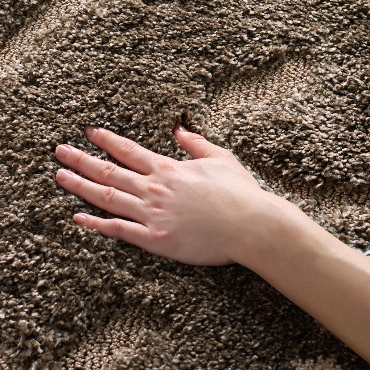 SAFAVIEH Area Rug 8x10 - Florida Shag Collection - Large - Smoke & Beige, Floral Design, Non-Shedding & Easy Cleaning, Plush Thick Pile, Ideal for Living Room, Bedroom, Dining Space (SG464-7913)