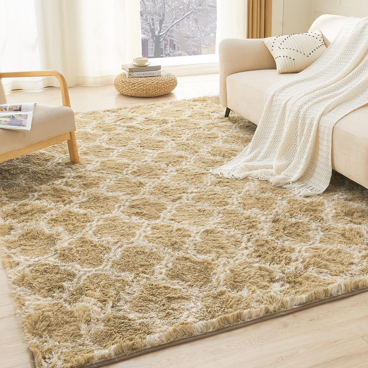 Litanika 5x8 Shag Area Rug for Bedroom, Tie-Dyed Beige Plush Rug