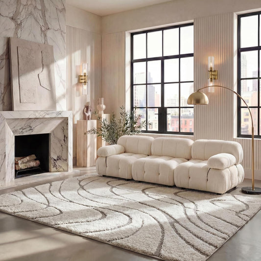 SAFAVIEH Florida Shag Rug 6'x9', Soft Plush Modern Cream & Beige SG471-1113