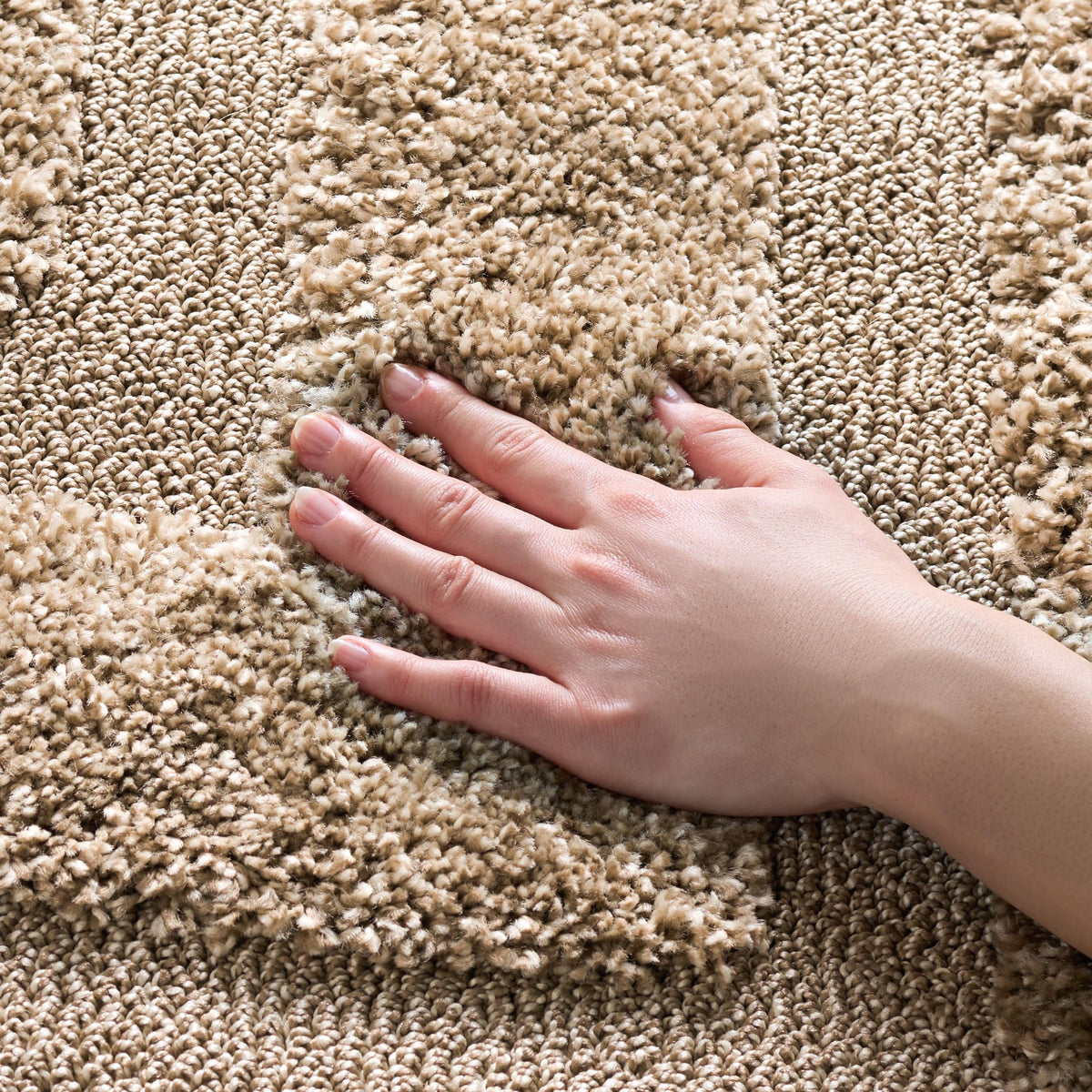 SAFAVIEH Florida Shag Rug 8'x10', Soft Plush Modern Cream SG454-1111