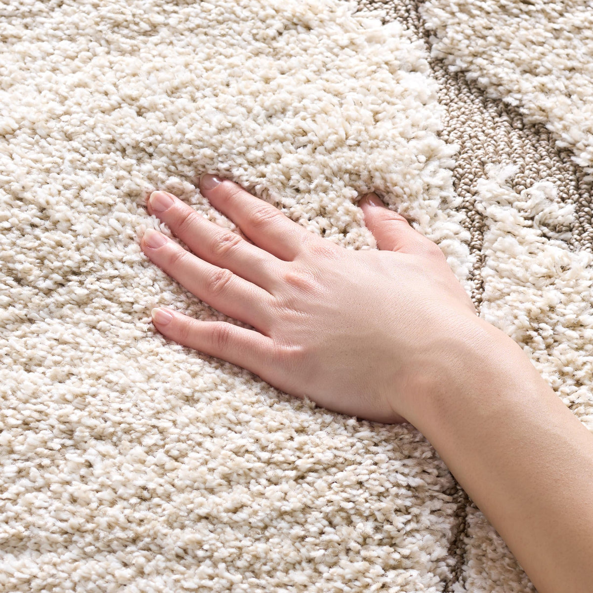 SAFAVIEH Florida Shag Rug 6'x9', Soft Plush Modern Cream & Beige SG471-1113