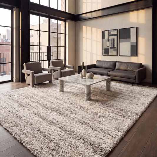 SAFAVIEH Hudson Shag Rug 9x12, Large Ivory & Beige SGH206B