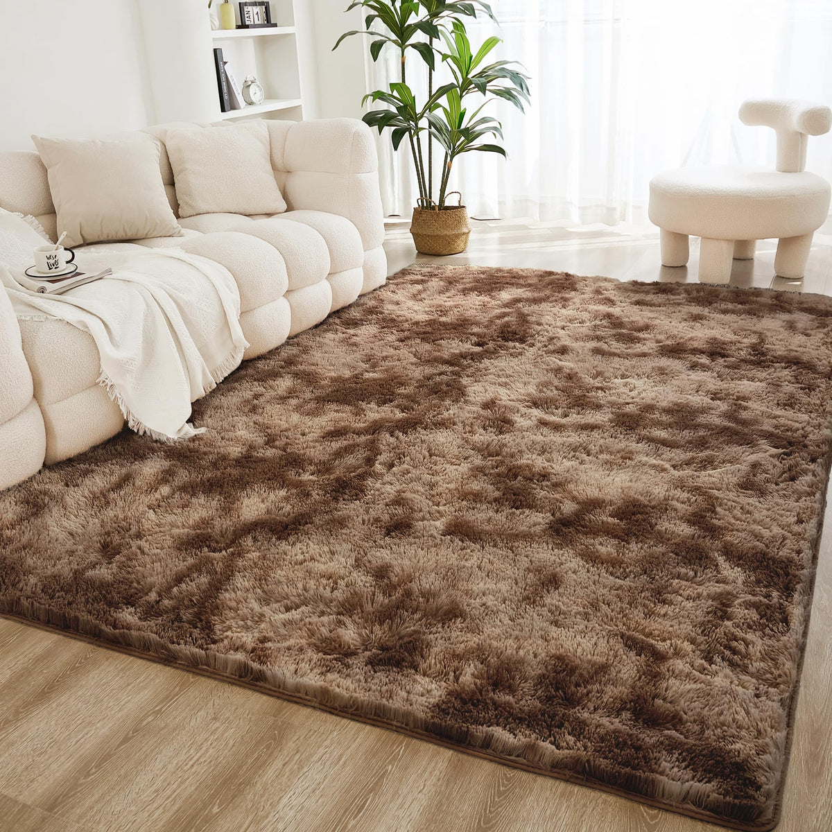 Litanika 5x8 Shag Area Rug for Bedroom, Tie-Dyed Beige Plush Rug