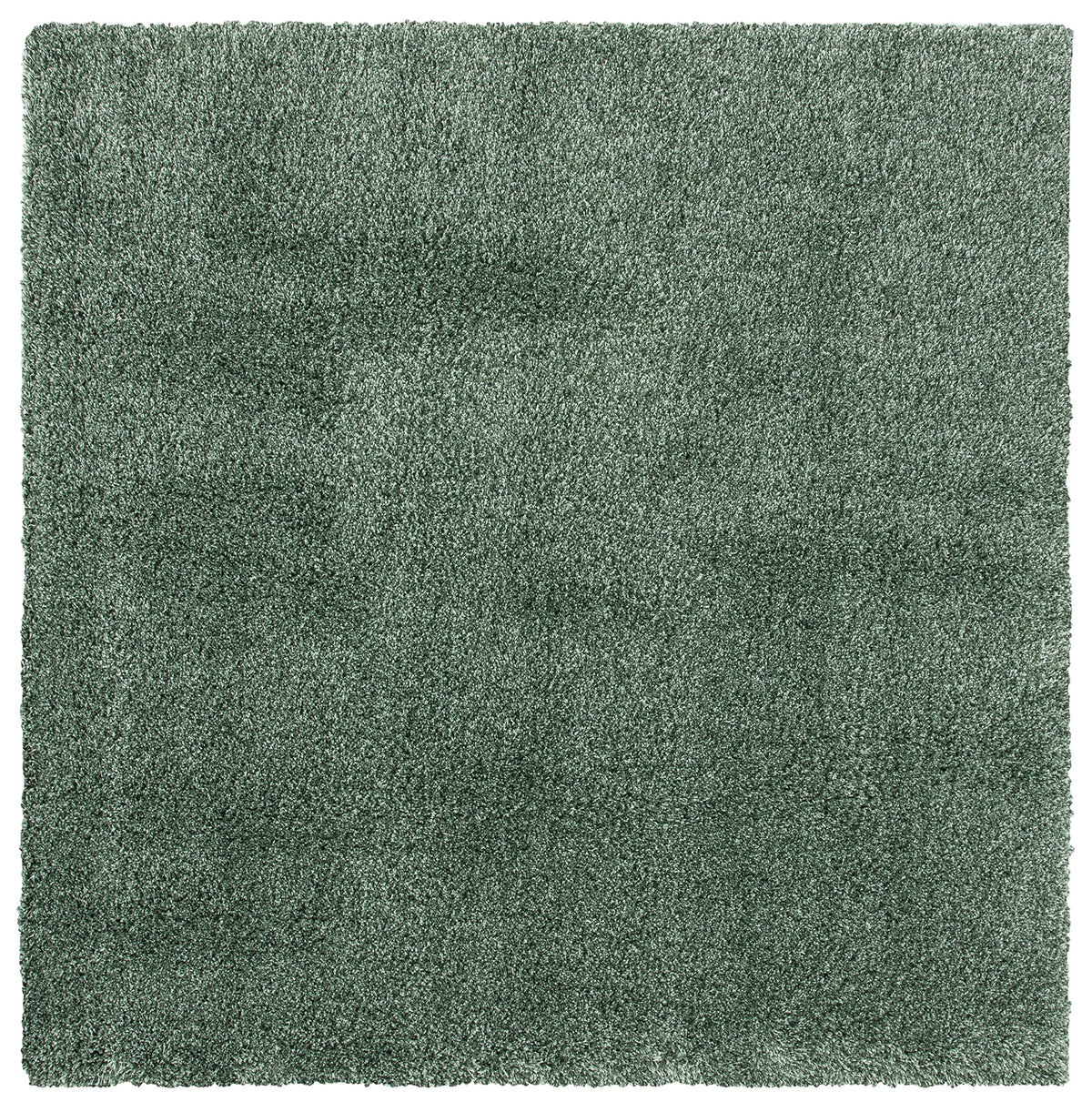 SAFAVIEH Hudson Shag Round Rug 4', Plush Gold SGH220D